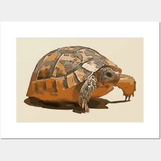 Cartoon Portrait Of A Baby Wild Tortoise Black Outline Art Posters and Art